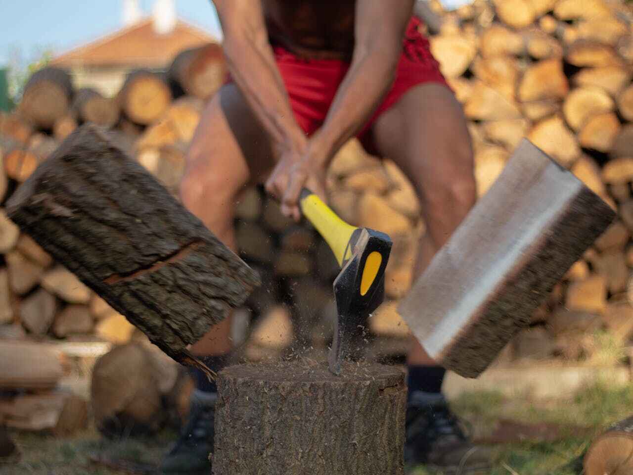 Best Local Tree Services  in USA